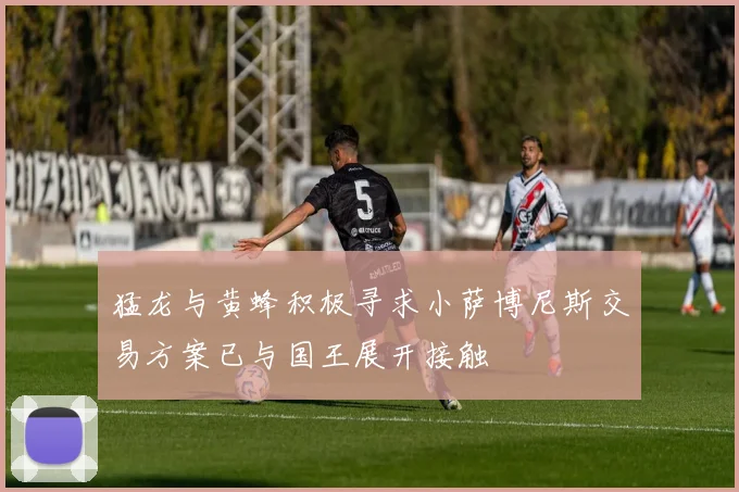 猛龙与黄蜂积极寻求小萨博尼斯交易方案已与国王展开接触